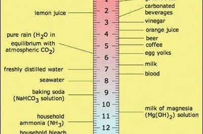 Fundamentals of Blood Gas Analysis