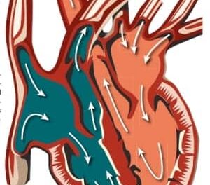 Understanding Vital Signs Medical Devices