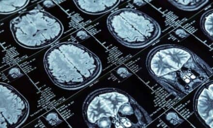 An Inside Look at Medical Imaging