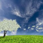Toshiba, AHRA Award Grants to Patient-Centric Providers