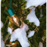 How a Biomed Repairs Holiday Lights