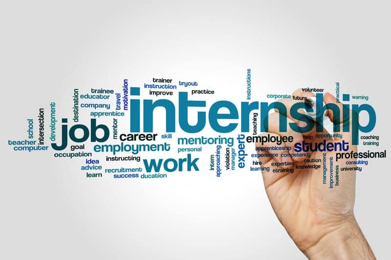 Growing a Career: The (Immense) Value of Student Internships