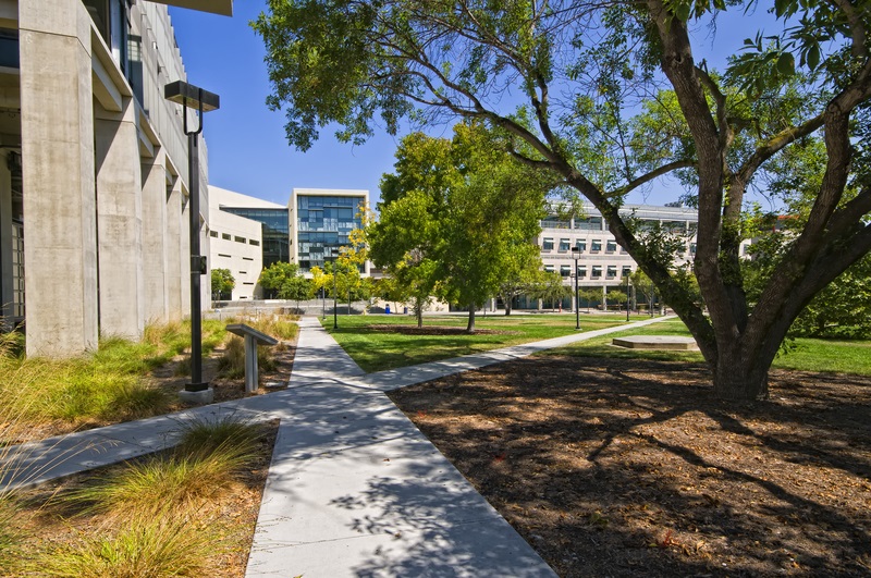 GE Collaboration Aims to Improve MRIs for Women’s Health