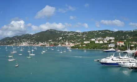 Zane Networks and Smart Meter Offer Telehealth, Remote Monitoring Network in US Virgin Islands